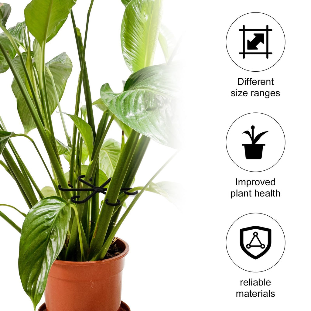 Climbing Houseplant Stem Supports - Perfect Growth Solution for Your Plants