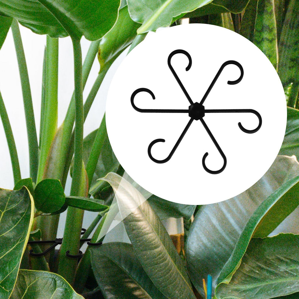 Climbing Houseplant Stem Supports - Perfect Growth Solution for Your Plants