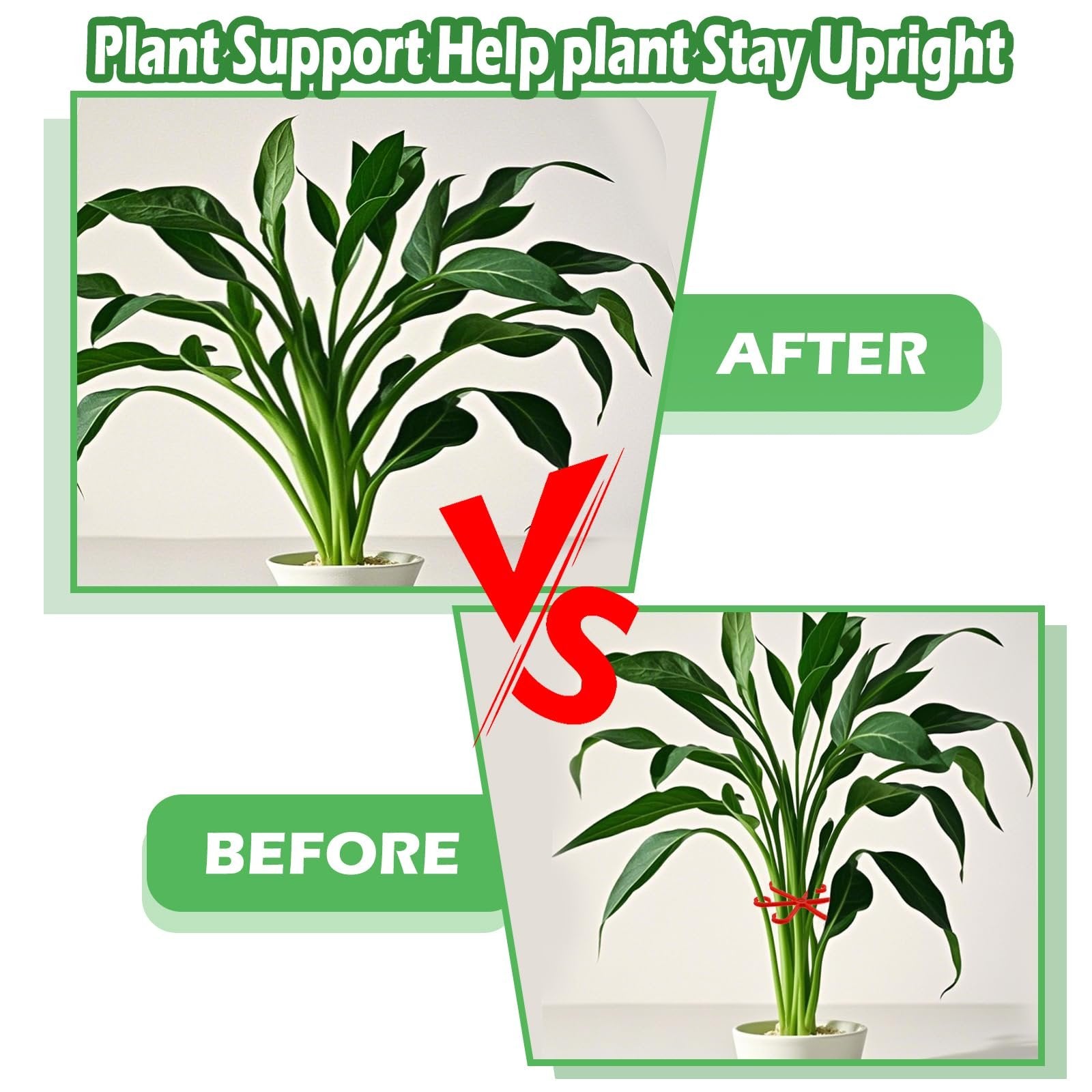 Climbing Houseplant Stem Supports - Perfect Growth Solution for Your Plants